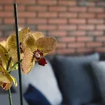 Apartament Matejki